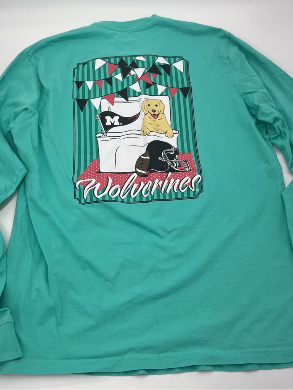 Champion Michigan Wolverines Graphic Long Sleeve Tee - Teal with Yellow Pup